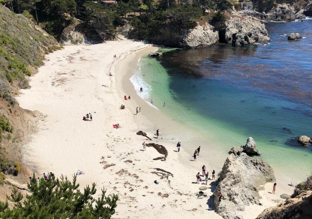 Point Lobos Natural Reserve. Monterey, CA